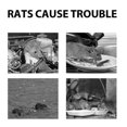 thumbnail image 3 of Crystal Ball Rodent Repellent, Indoor And Outdoor Car Repellent And Rat-repellent And Rat-, 3 of 5