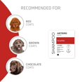 thumbnail image 5 of Shampoo para perros Artero Scarlet realzador de color 300 ml, 5 of 5