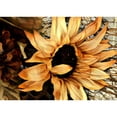 thumbnail image 2 of CafePress - Sunflower Magnets - Rectangle Magnet, 2"x3" Refrigerator Magnet, 2 of 3