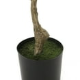 thumbnail image 5 of Noble House Hartshorn 5' x 2' Artificial Pieris Tree, Green, 5 of 7