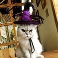 thumbnail image 2 of Disfraz de Halloween Sunnimix Sombrero del animal doméstico de Halloween Perro Gato, 2 of 8
