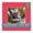 Cardinal Red, variant on Maroon Red Picture Frame Mat for 16x16 Frames - Fits 10x10 Photos - 25 Mats