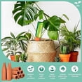 thumbnail image 3 of Juego para uso en interiores y exteriores, flujo de agua ajustable, púas de riego automático de terracota, crecimiento saludable de raíces, regadores automáticos de plantas (10 piezas), 3 of 5