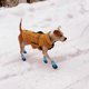 thumbnail image 3 of Botas para perros antideslizantes para perros, botas para perros impermeables al aire libre, zapatos para perros para perros medianos a grandes con suelas resistentes Zhivalor 220498-5, 3 of 4