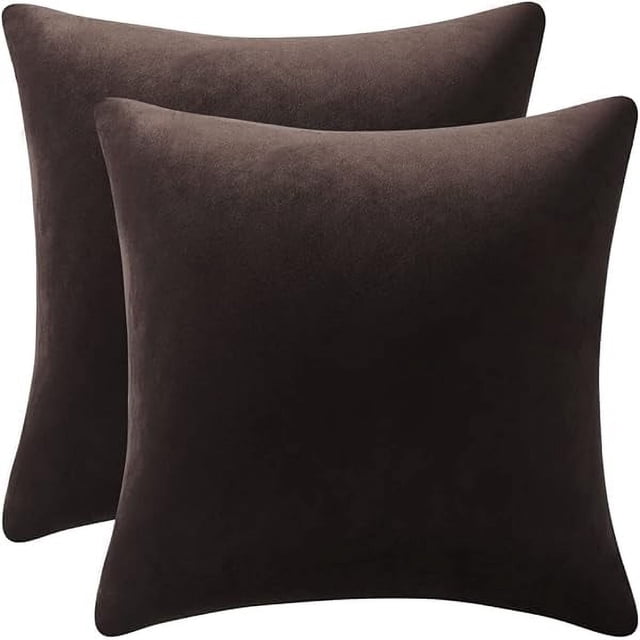 HAYANDecorative Pillow Cases 20x20 Chocolate Brown: 2 Pack Cozy Soft Velvet Square Throw Pillow Covers for Farmhouse Home Decor