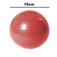 thumbnail image 3 of Exercise Ball Extra Thick Professional Grade Balance & Stability Ball- Includes Hand Pump, 3 of 5