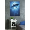 thumbnail image 2 of Shark - Depths Wall Poster, 22.375" x 34", 2 of 2