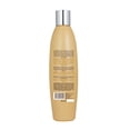 thumbnail image 2 of Kareol Keratina Shampoo 300ml · Restaura, Fortalece Y Nutre KAREOL Tipo de Cabello: Dañado, Procesado, 2 of 4