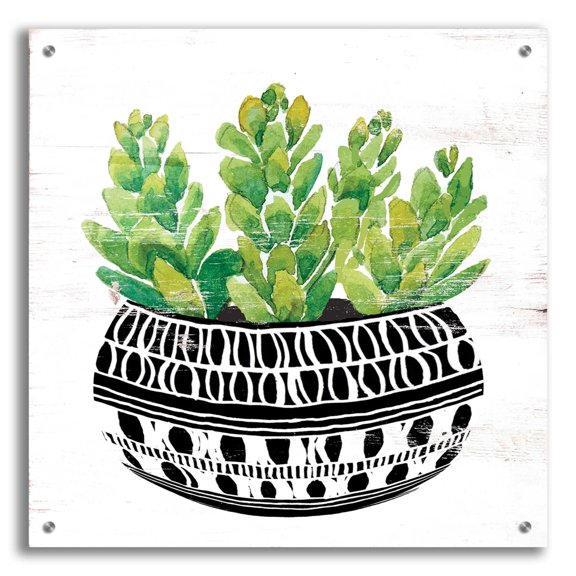 Epic Art 'Mud Cloth Succulent IV' by Cindy Jacobs, Acrylic Glass Wall Art, 24"x24"