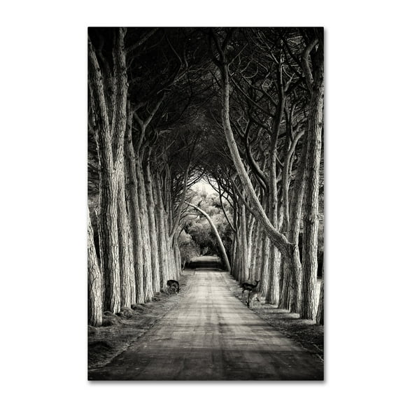 Sandra 'Path' Canvas Art