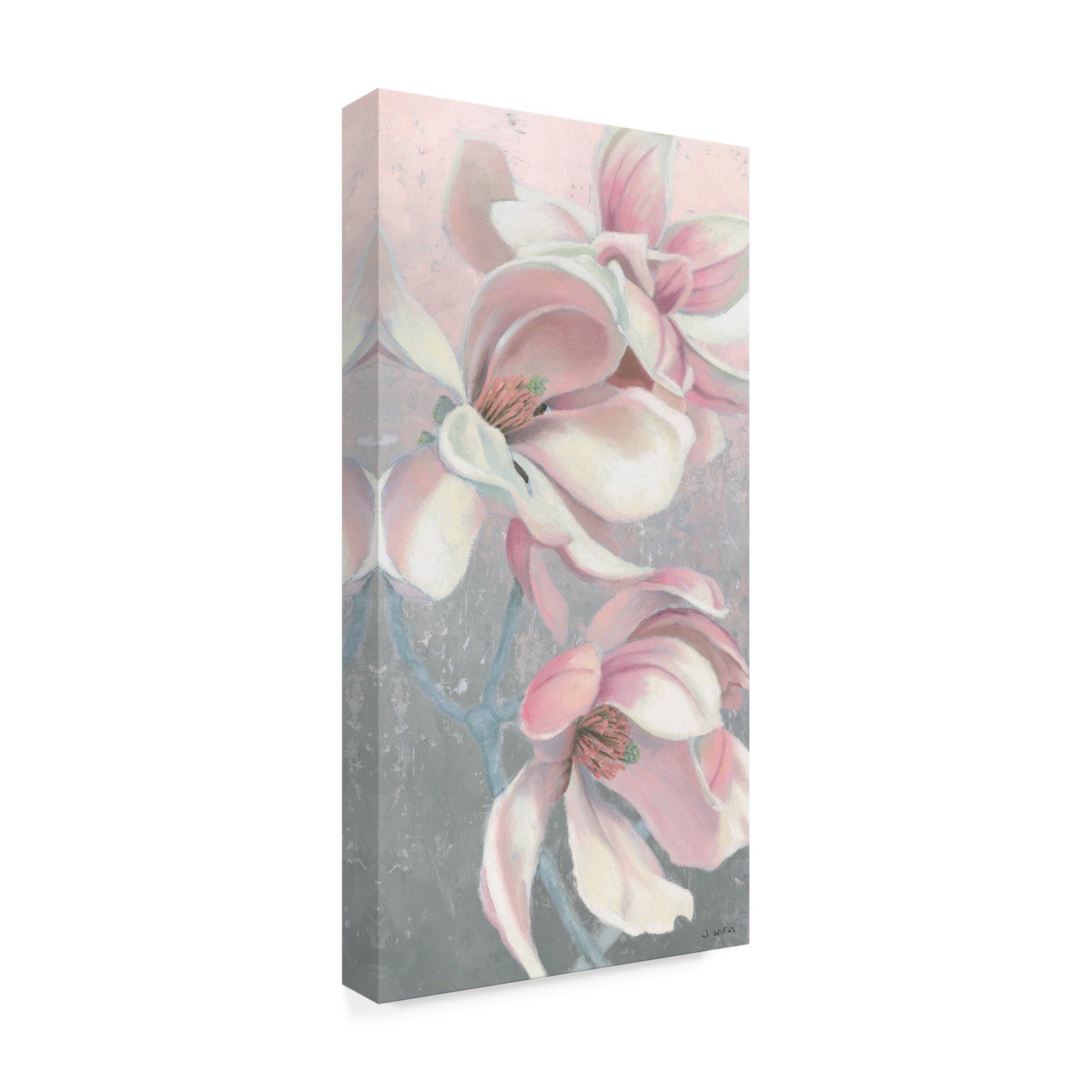 Trademark Fine Art 'Sunrise Blossom I' Canvas Art by James Wiens