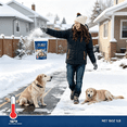 thumbnail image 5 of BANIRO 2026 New 4Pcs Outdoor Pet Safe Ice Melt Safe,Rock Salt for Snow Melt Alternative,Pet Friendly Ice Melt Pet Safe Formula with 50% Less Chloride,Driveways & Lawns, 5 of 7