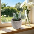 thumbnail image 4 of Small Fake Plants Realistic Lifelike Artificial Potted Succulents, Mini Durable Plastic 2.7x2.6x2.6 in with Pot Faux Plants for Home Office, Kitchen, and Indoor Table Decor, 4 of 6