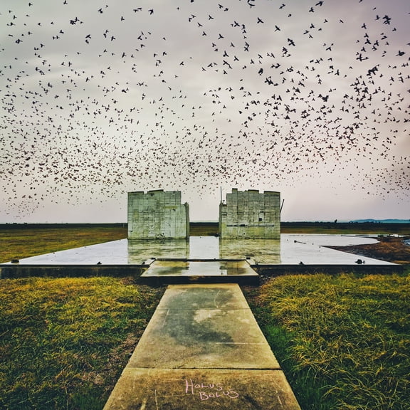 Lord Buffalo - Holus Bolus - Music & Performance - Vinyl