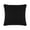 Black Velvet, variant on Coordinating Pillow - 16x16 - Emerald Velvet