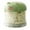 Green - 3.11", variant on 3.1in Portable Dog Treat Container Airtight Pet Food Storage Jar with Built-in Water Compartment Cute Bear Design for Outdoor Walking Hiking & Travel Green