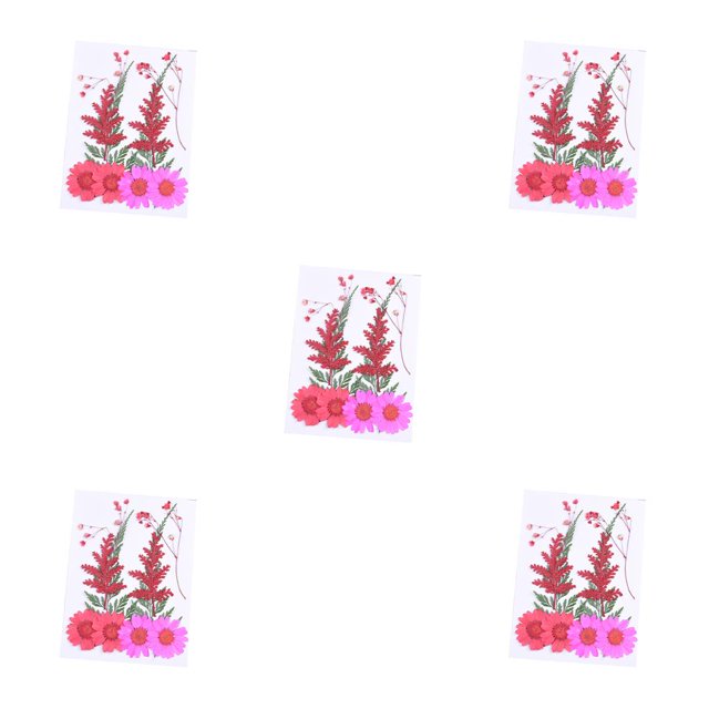 Ounissouiy Ramos naturales de flores secas, flores prensadas, accesorios de bricolaje mixtos, artículos para el hogar, decoración artística juego de flores rojas 5piezas
