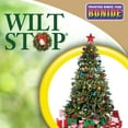 thumbnail image 4 of Bonide Wilt Stop, 16 oz Ready-to-Use Christmas Tree and Wreath Spray, Reduces Moisture Loss & Extends Life of Plants, 4 of 8