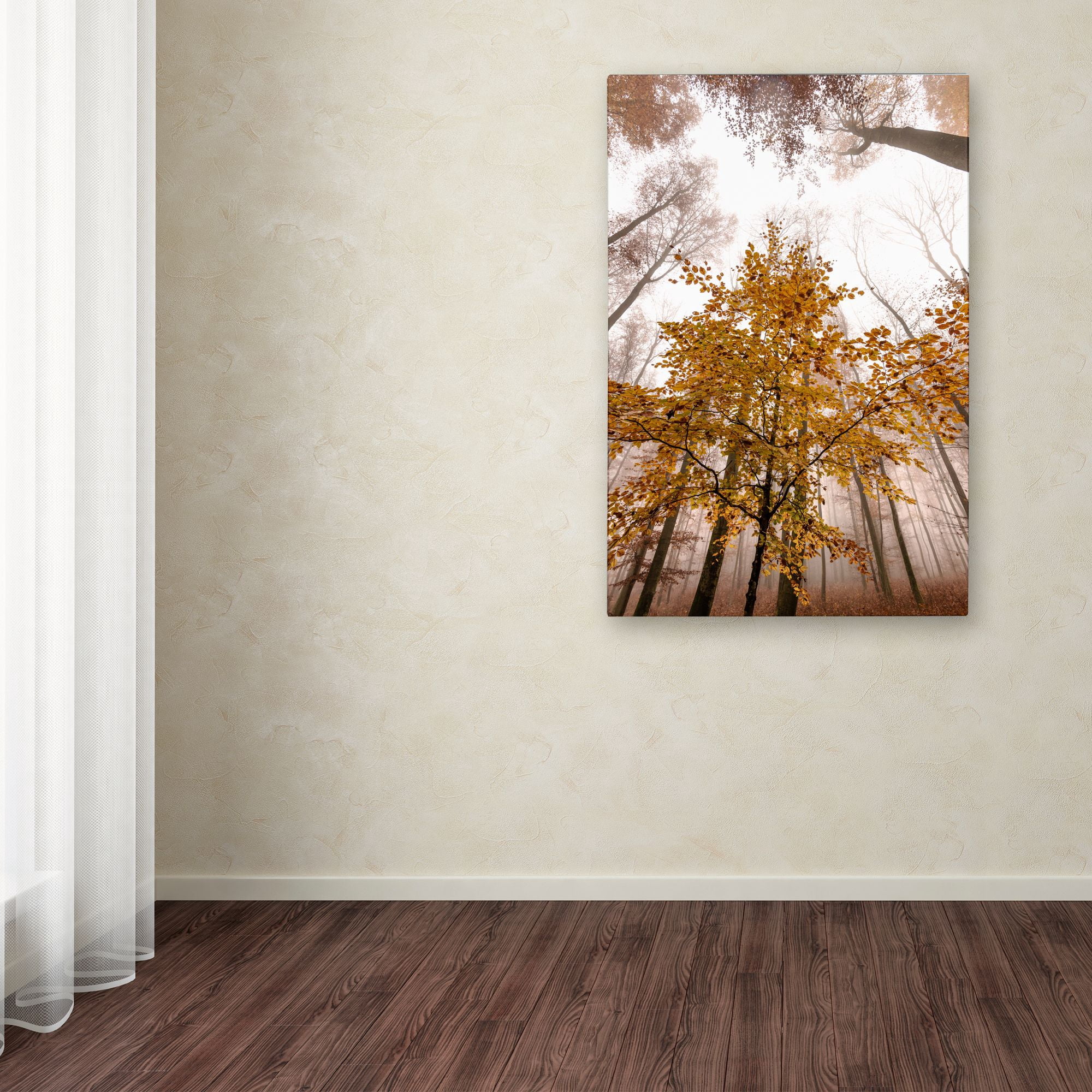 Trademark Fine Art "Foggy Days" Canvas Art by Philippe Sainte-Laudy