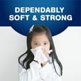 thumbnail image 4 of Scotties House & Home, 2-Ply Facial Tissue, 9 Boxes, 126 Tissues Per Box, 4 of 5