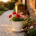 thumbnail image 3 of Plastic Flower Pot with Scalloped Rim for Indoor and Outdoor Plants, Suitable for Succulents and Green Plants, Home Decor Planter, 3 of 5
