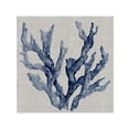 thumbnail image 3 of Robinson, Carol 15x15 Black Modern Framed Museum Art Print Titled - Linen Sea Coral IV, 3 of 5