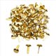 thumbnail image 2 of 500X Sujetadores de Papel de Latón de 1/2 Pulgada, Mini Sujetadores de Papel para Proyectos de Manualidades, Suministros Decorativos para Bricolaje, 8 X 14 mm (Dorado), 2 of 7