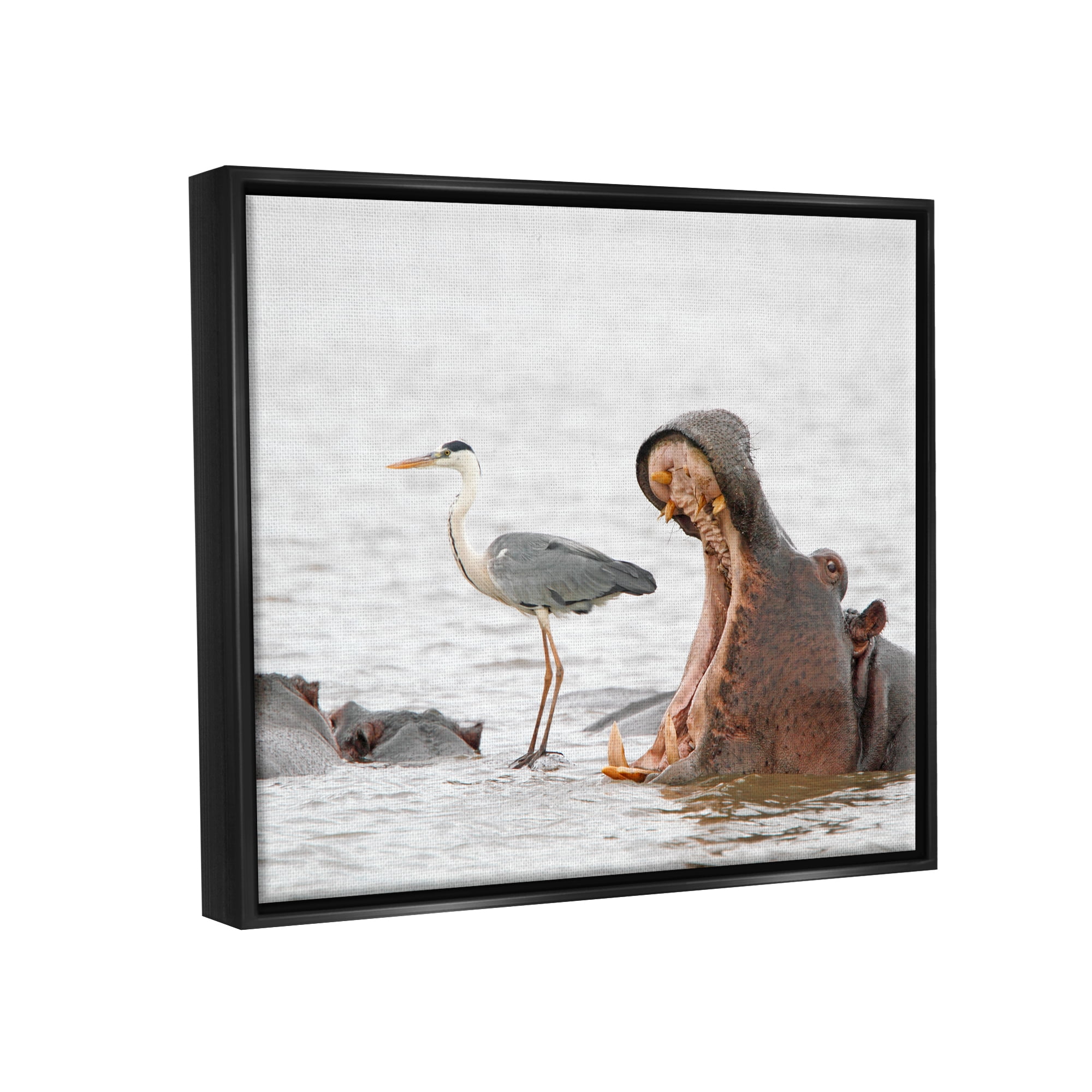 Stupell Industries Hippo & Heron Photography Animals & Insects Photography Black Floater Framed Canvas Art Print Wall Art, 21 x 17