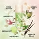 thumbnail image 3 of Perfume Elizabeth Arden Té Verde Pistacho Crunch EDT 100 ml, 3 of 9