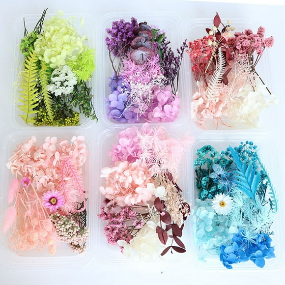 Lubelski 1 Box Preserved Flower Beautiful Bright-colored Dried Flower Stylish Visual Effect Dried Flower Display for Home