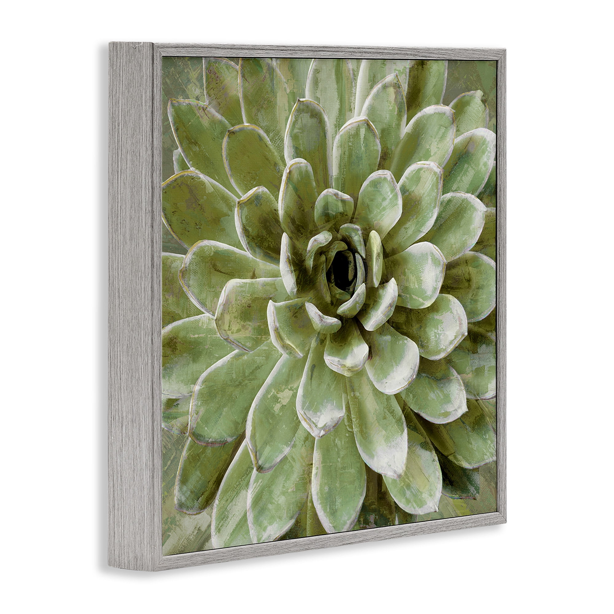 Stupell Industries Green Botanical Succulent Bloom Botanical & Floral Painting Gray Framed Art Print Wall Art, 12 x 12