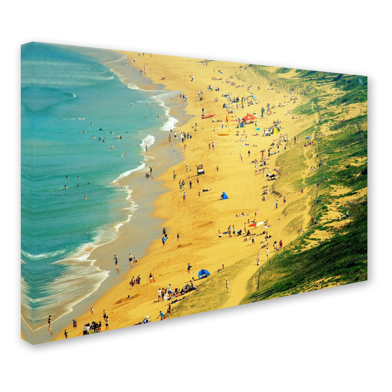 Trademark Fine Art "Life is a Beach" Canvas Art by Beata Czyzowska Young