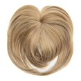 thumbnail image 3 of Xihbxyly Postizo con Clip, Volumen Instantáneo, Mezcla Perfecta para Cabello Fino, Peluca Sintética de Fibra Resistente Al Calor, Solución Rápida para La Caída Del Cabello, Uso Diario para Mujeres, D, 3 of 3