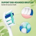 thumbnail image 3 of SPEQUIX Replacement Toothbrush Heads Compatible with Philips Sonicare Click-On Handles, Electric Toothbrush Replacement Heads Soft Bristles for Plaque Control, 8 Pack, 3 of 8