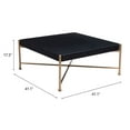 thumbnail image 5 of Nazaire Coffee Table Black Coffee Table, Modern Style, Painted Fir Wood square shape tabletop, Fir Wood, Indoor Living, 5 of 9
