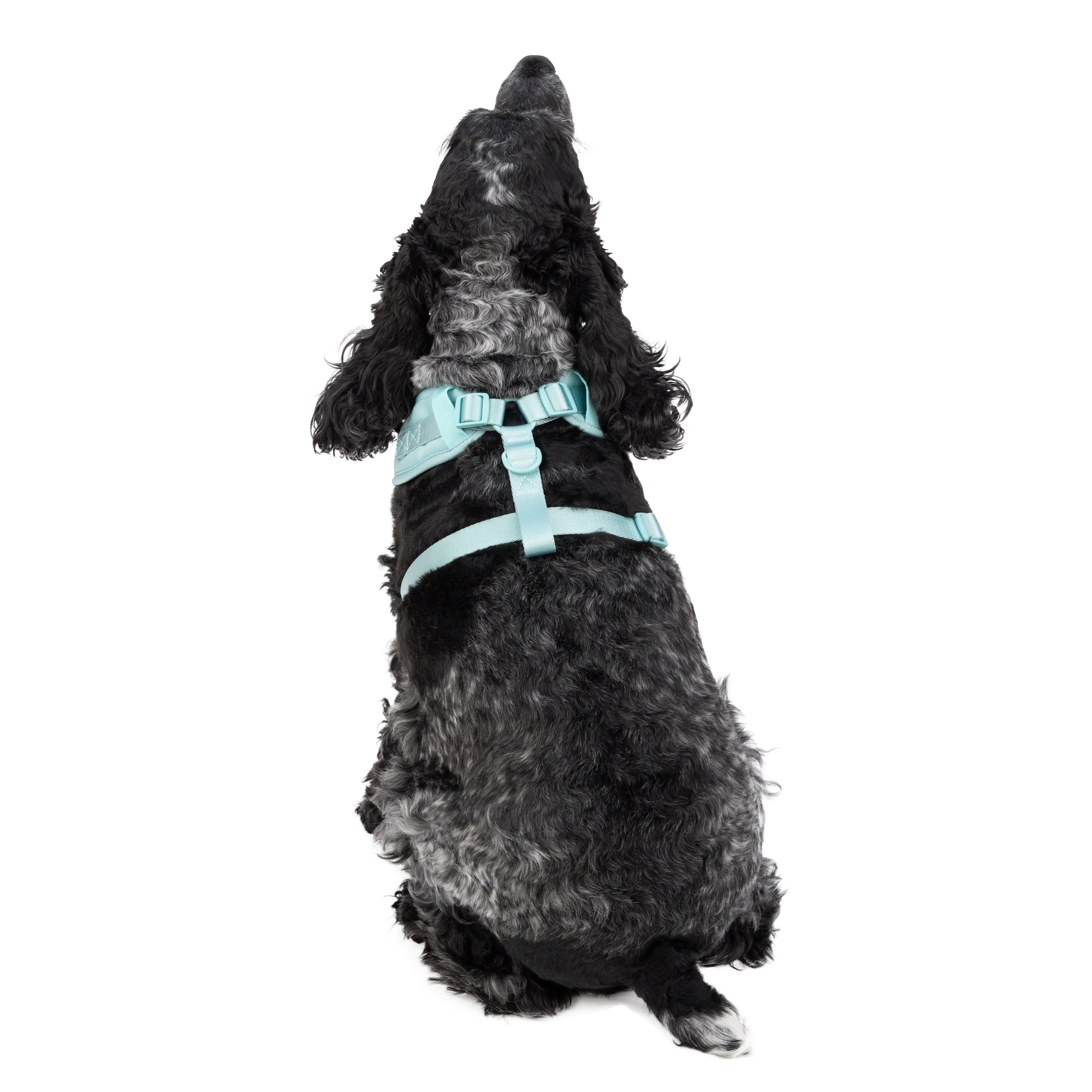 Vibrant Life Polyester & Spandex Adjustable Dog Harness, Blue, Medium