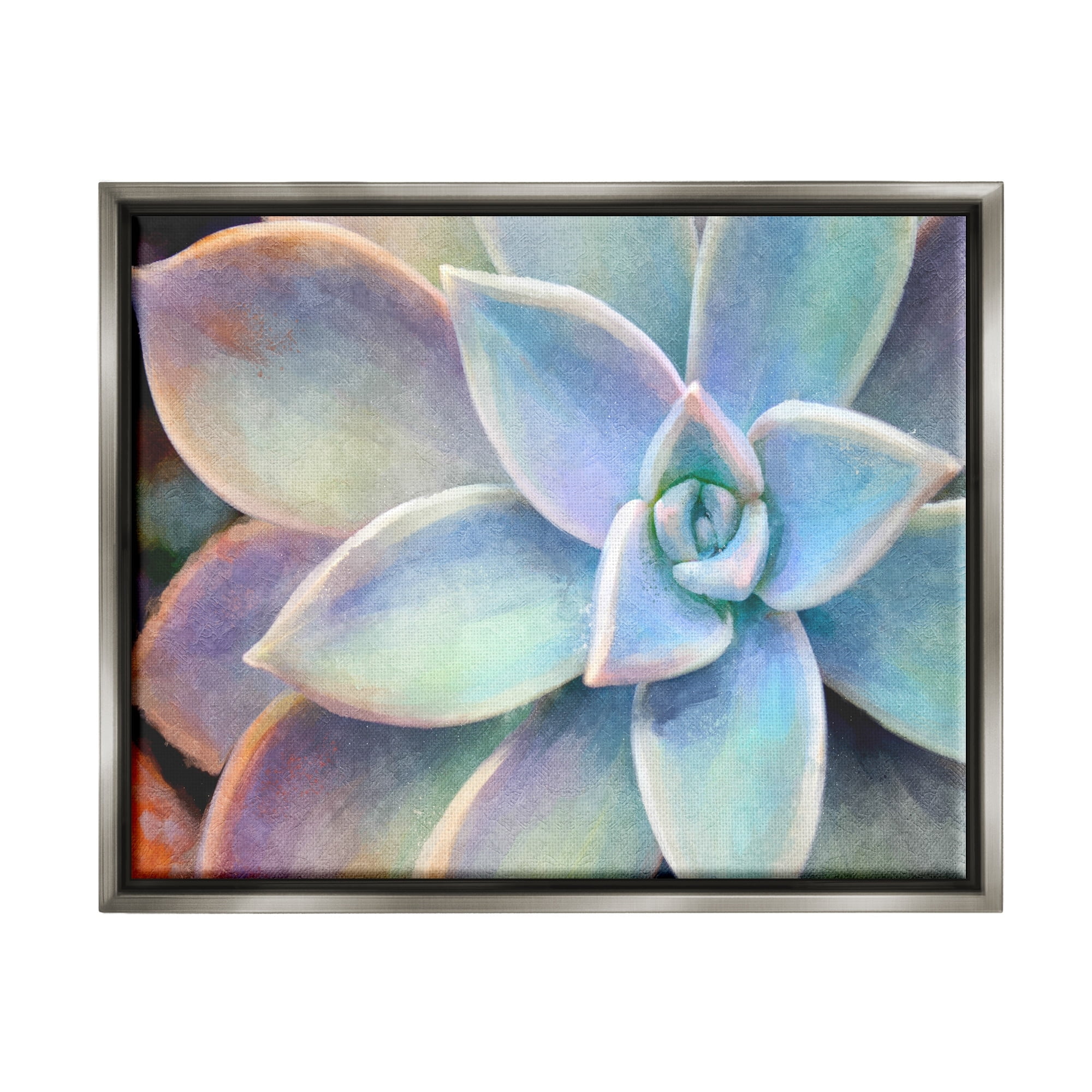 Stupell Industries Succulent Plant Vibrant Bloom Painting Luster Gray Framed Floating Canvas Wall Art, 24x30, by Joshua Chace