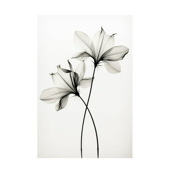 Trademark Fine Art Treechild Transparent Botanic No 6 Canvas Wall Art