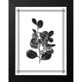 thumbnail image 2 of Allen, Kimberly 12x14 Black Modern Framed Museum Art Print Titled - Pressed 1, 2 of 5