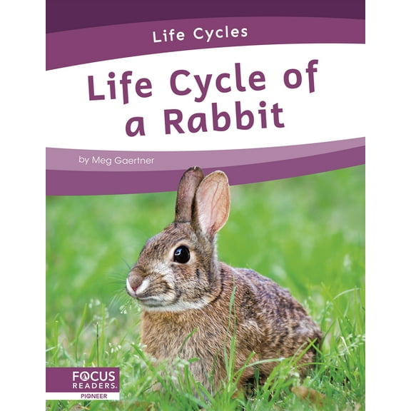 Life Cycle of a Rabbit (Hardcover)