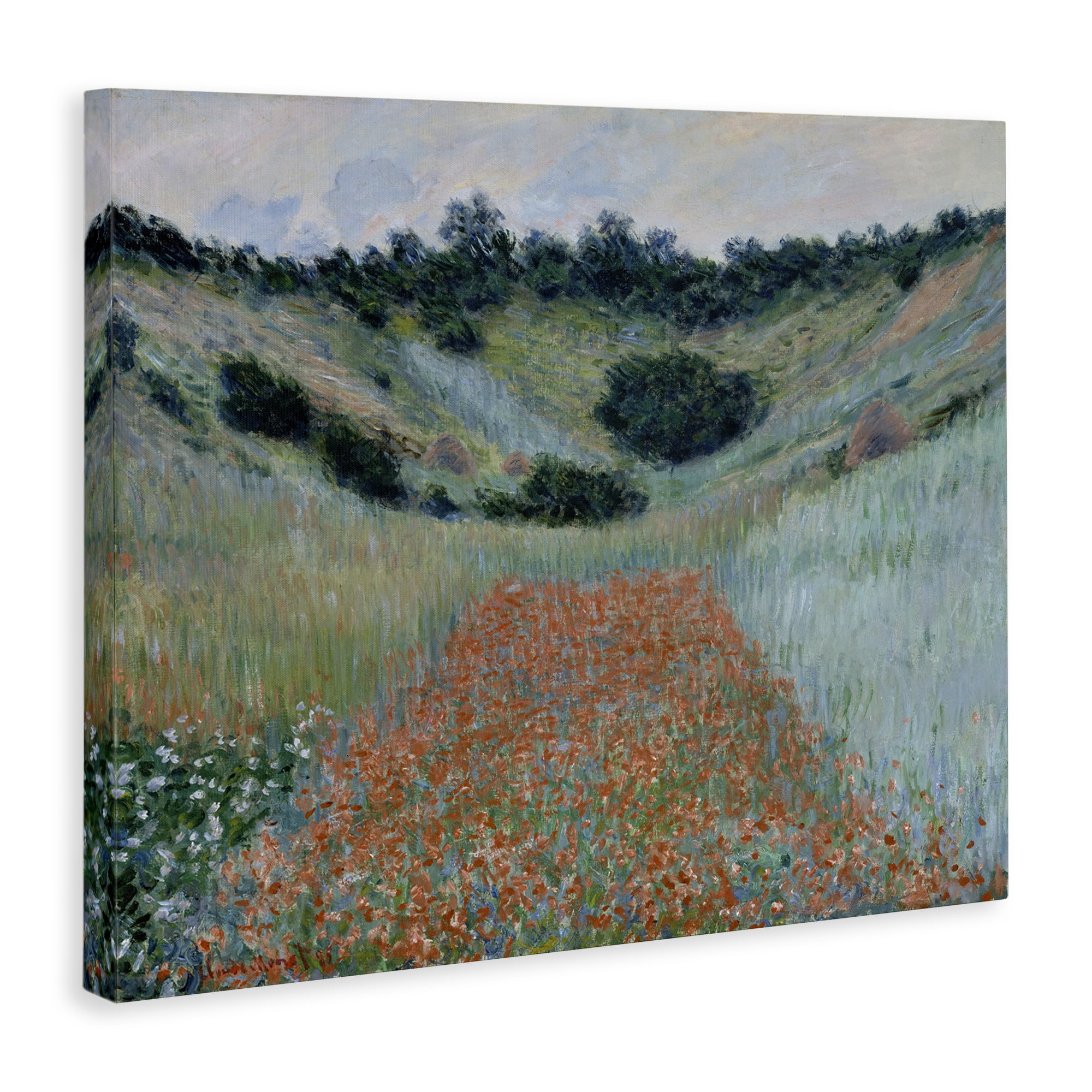 Stupell Industries Classic Poppy Field in Hollow Landscape & Nature Painting Wrapped Canvas Art Print Wall Art, 30 x 24