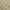 Dark Olive Green, variant on oneOone Polyester Spandex Black Fabric Floral Sewing Craft Projects Fabric Prints By Yard 56 Inch Wide