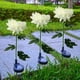 thumbnail image 4 of Luces solares de crisantemo, luces LED para jardín al aire libre, luces de simulación de flores, luces decorativas con enchufe para tierra, 4 of 5