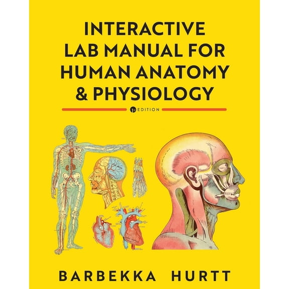 Interactive Lab Manual for Human Anatomy and Physiology, (Paperback)