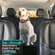 thumbnail image 2 of Funda de Asiento de Coche KULULU 100% Impermeable para Perros, 2 of 9