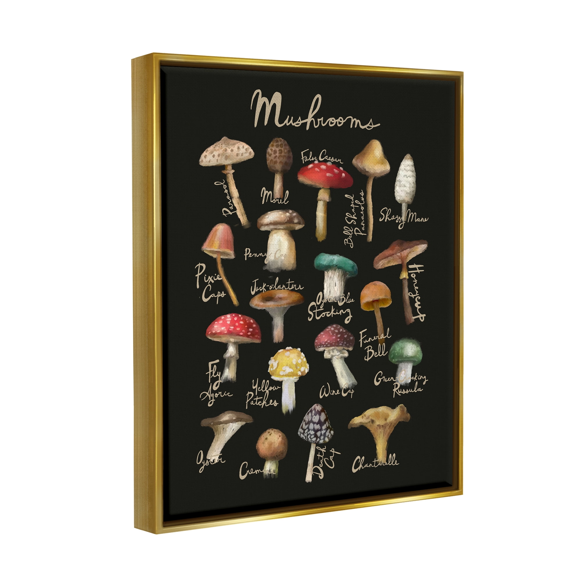 Stupell Industries Varied Mushrooms Kitchen Chart Landscape Painting Gold Floater Framed Art Print Wall Art