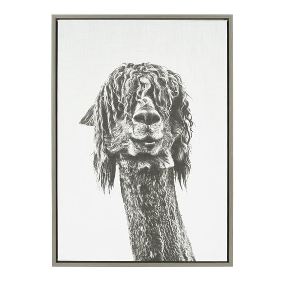 Kate and Laurel Sylvie Curly Hair Alpaca Black and White Animal Portrait Framed Canvas Wall Art, 23x33 Gray