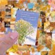 thumbnail image 4 of 60pcs Autumn Stickers No-Duplicate Landscape Aesthetic Stickers for Journal,Yellow Leaves Trendy Waterproof Vinyl Decal for Laptop Water Bottle Travel, 4 of 4