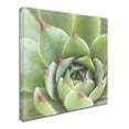 thumbnail image 2 of Trademark Fine Art 'Garden Succulents III Color' Canvas Art by Laura Marshall, 2 of 3