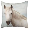 thumbnail image 1 of BOSDECO Housse de Coussin Cheval Blanc Bleu 18x18 Pouces, 1 of 1